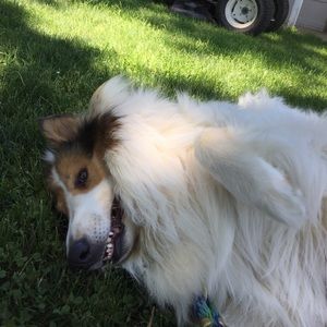 Meet your Posher, Addie